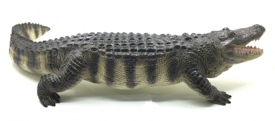 Фигурка «Гигантский аллигатор», 50 см